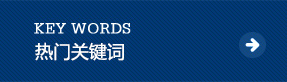 高強(qiáng)丙綸網(wǎng)絡(luò)絲，高強(qiáng)丙綸網(wǎng)絡(luò)絲是什么，高強(qiáng)丙綸網(wǎng)絡(luò)絲英文 